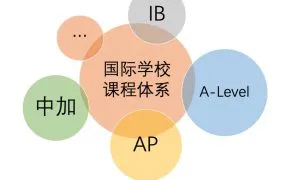 上海宝妈看过来：A-level、IBDP、AP，三大国际课程深度对比！附上海市国际课程学校名录