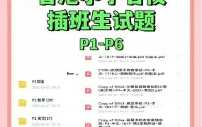 2025香港DSE小学名校插班生真题 P1-P4小一小二小三小四中文/英文/数学/常识四科600份期中期末试卷大考小考测试 PDF+WORD电子版下载