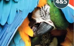 IB MYP Biology 4&5深度解析 IB初中生物教材附检查清单+答案 PDF电子版 百度网盘下载