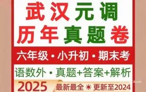 2025武汉小升初元调真题深度解析 语文数学英语分班考试卷合集下载与备考全攻略 百度网盘