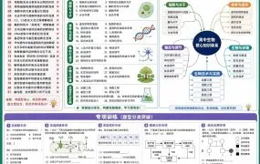 2026最新高中生物提分资料 高考生物知识清单+考点题型+思维导图+专题训练PDF+WORD电子版下载